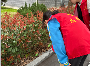 QQ20260330-165201.png QQ20260330-165201.png