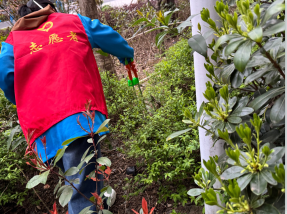 QQ20260330-165531.png QQ20260330-165531.png