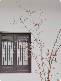 QQ20260704-075723.png
