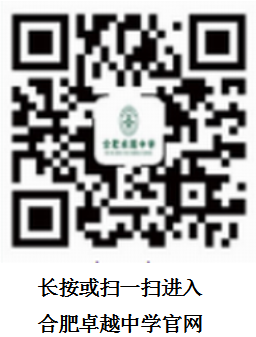 合肥卓越中学官网.png