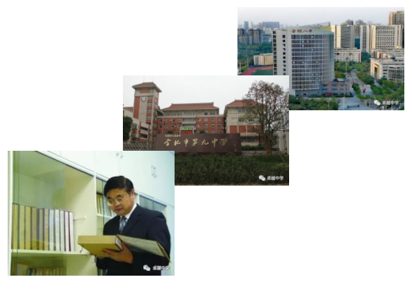 陈及九中八中图.png