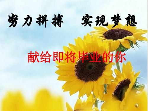 封面图片.jpg