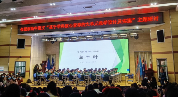 观摩说木叶.jpg