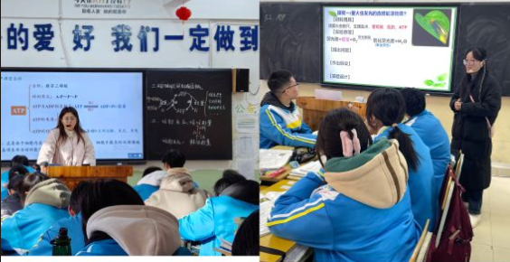 截图20241226153128.png