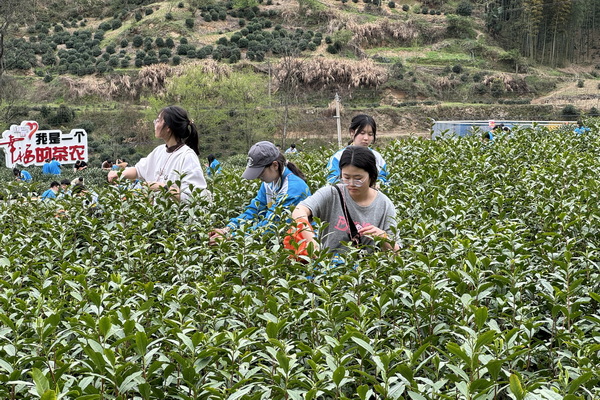 合肥卓越中学开展研学游活动